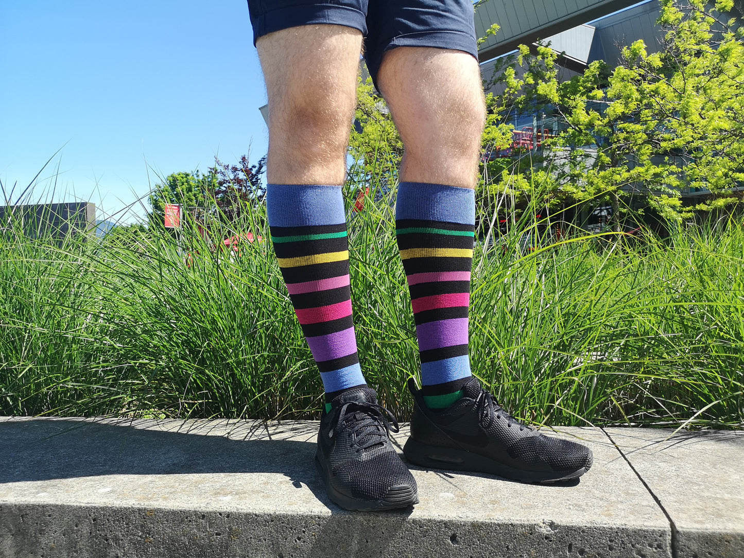 Stripe Cotton Black Multi Compression Socks